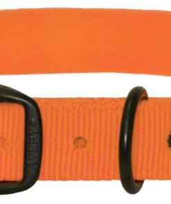 Camping & Hunting AVERY SPORTING DOG Standard Collar