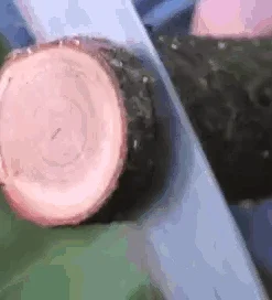 Silky ZUBAT 330 (LG Teeth) Curved Pruning Saw