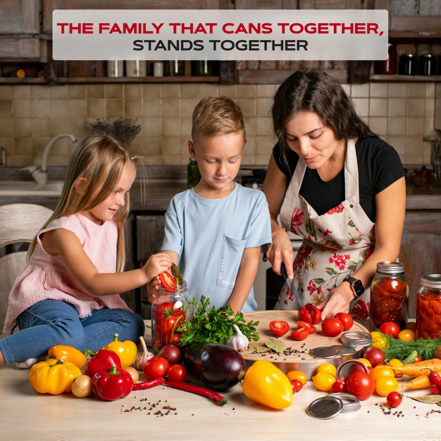 ForJars Canning Lids - Regular 10 ForJars Canning Lids - Regular