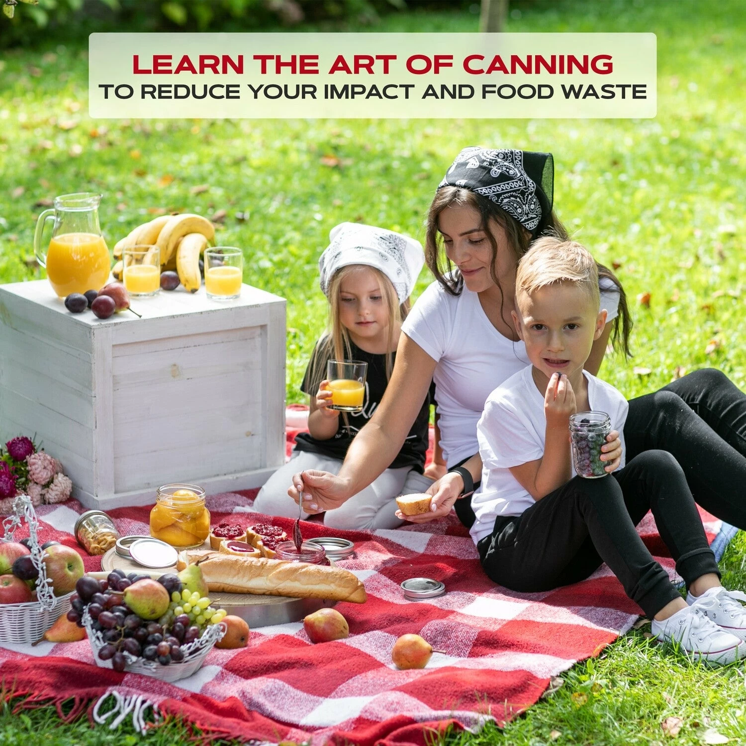 ForJars Canning Lids & Bands 12 Sets 9 ForJars Canning Lids & Bands 12 Sets