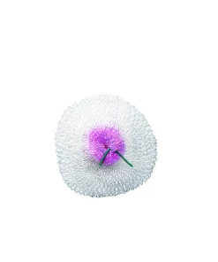 Primus Lantern Mantle Camping & Hunting