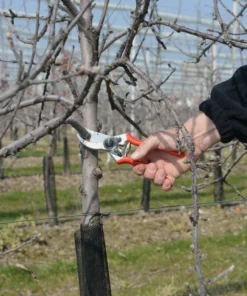 FELCO 2 Pruning Shear