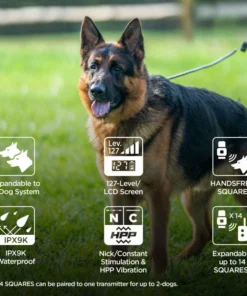 DOGTRA ARC HANDSFREE PLUS TRAINING SYSTEM