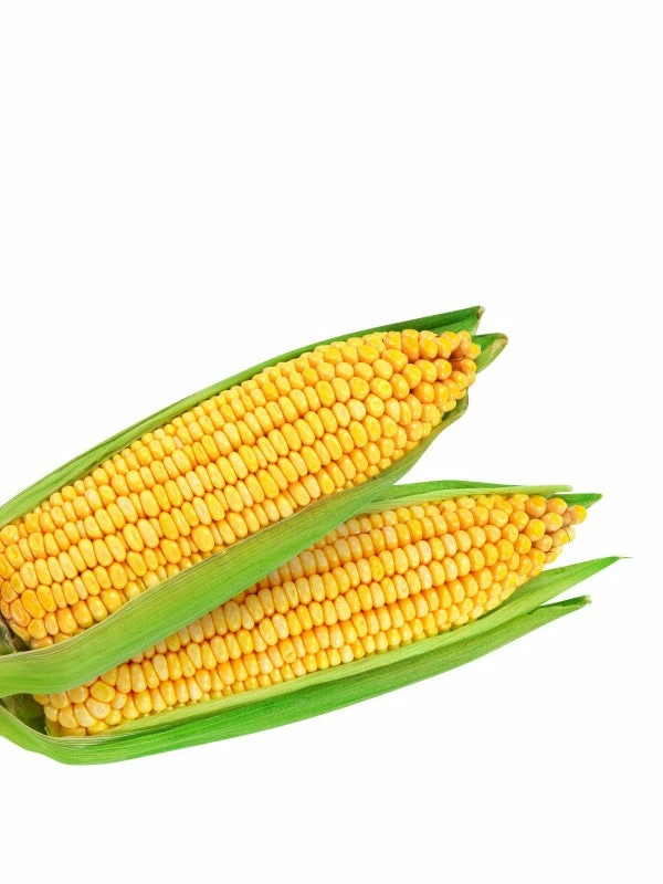 Augason Farms Freeze Dried Sweet Corn 4 Augason Farms Freeze Dried Sweet Corn