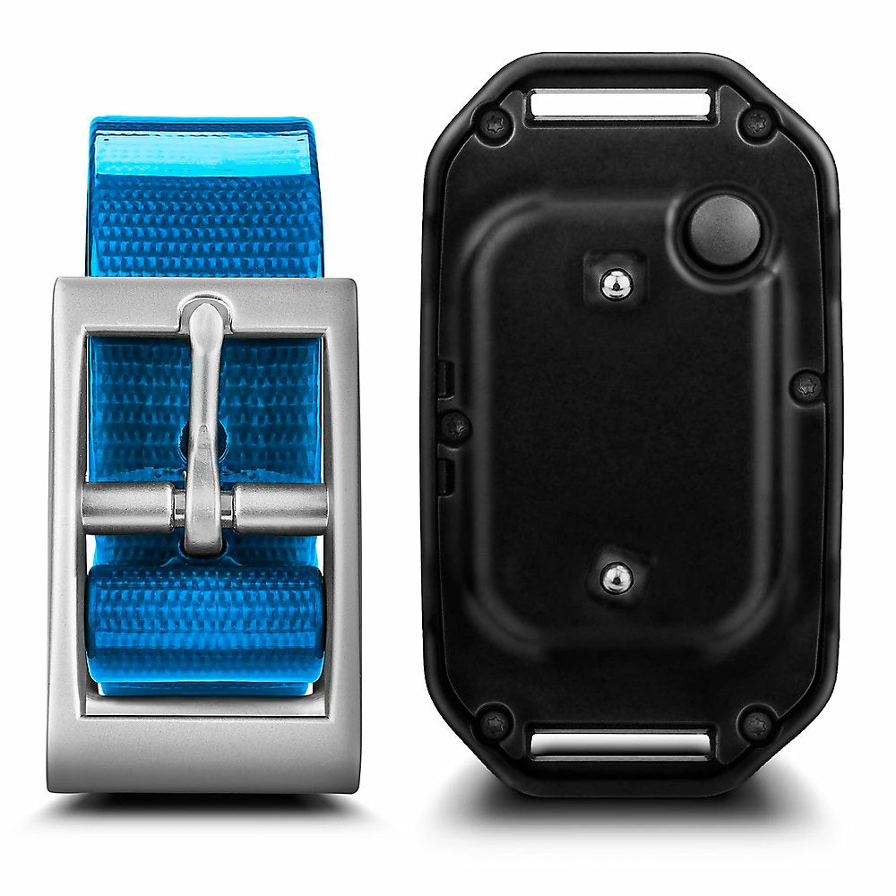 Garmin PT 10 Dog Device 2 Garmin PT 10 Dog Device