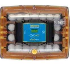 Brinsea Ovation 28 Eco Digital Egg Incubator 5 Brinsea Ovation 28 Eco Digital Egg Incubator