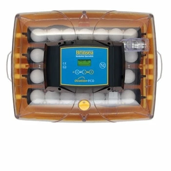 Brinsea Ovation 28 Eco Digital Egg Incubator 3 Brinsea Ovation 28 Eco Digital Egg Incubator