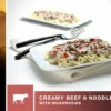 AlpineAire Creamy Beef & Noodles With Mushrooms Backpacking Meals