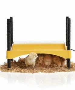 Home, Farm & Garden Brinsea EcoGlow Safety 600 Chick Brooder
