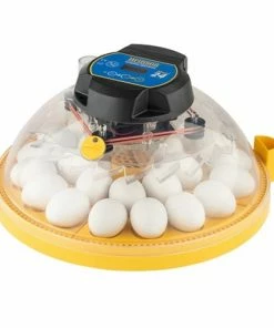 Brinsea Maxi 24 Advance Fully Digital 24 Egg Incubator