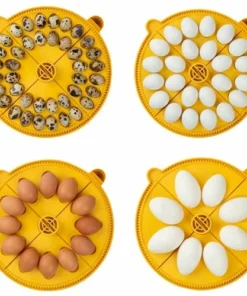 Brinsea Maxi 24 Advance Fully Digital 24 Egg Incubator 7 Brinsea Maxi 24 Advance Fully Digital 24 Egg Incubator