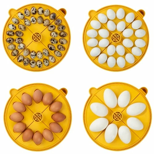 Brinsea Maxi 24 Advance Fully Digital 24 Egg Incubator 4 Brinsea Maxi 24 Advance Fully Digital 24 Egg Incubator