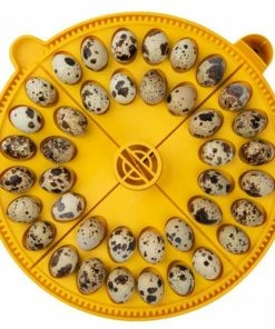 Brinsea Maxi Egg Quadrants Home, Farm & Garden