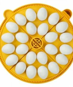 Brinsea Maxi Egg Quadrants Home, Farm & Garden