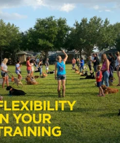 DOGTRA ARC HANDSFREE PLUS TRAINING SYSTEM