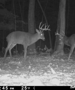 SPYPOINT LINK-MICRO-LTE CELLULAR TRAIL CAMERA