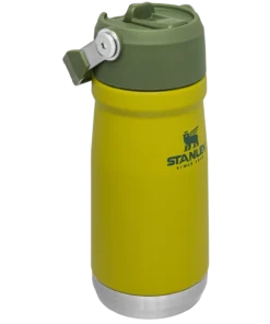 STANLEY THE ICEFLOW FLIP STRAW WATER BOTTLE 17 Oz.