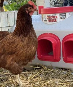 OverEZ Chicken Coops OverEZ Chicken Feeder