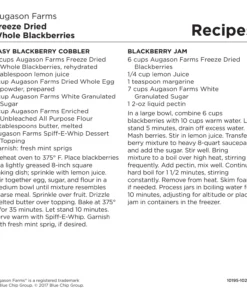 Augason Farms Freeze Dried Blackberries