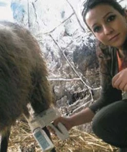 EZ - UDDERLY EZ HAND SHEEP MILKERS