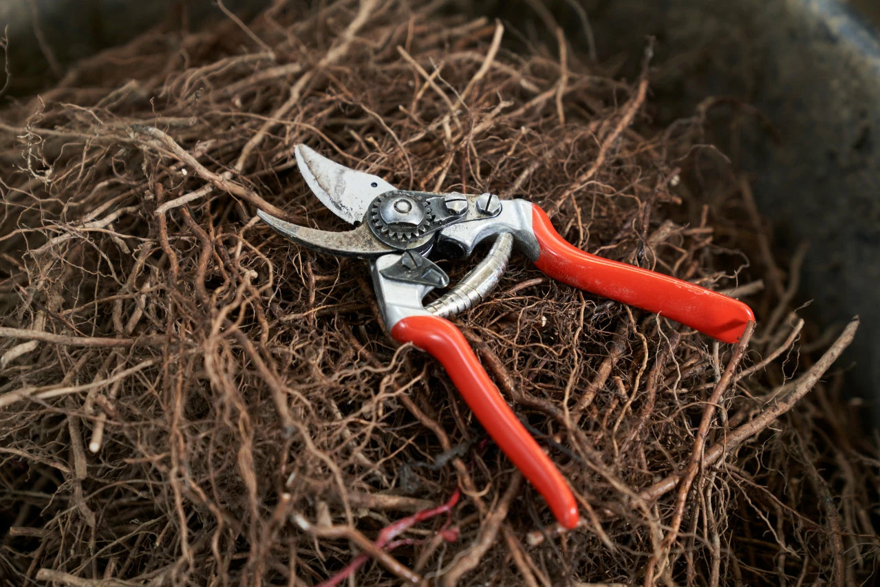 Home, Farm & Garden FELCO 14 Ergonomic Pruning Shear 4 Home, Farm & Garden FELCO 14 Ergonomic Pruning Shear