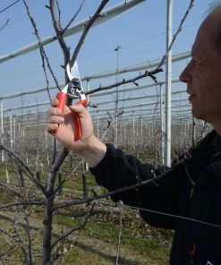 FELCO 7 Revolving Handle Pruning Shear