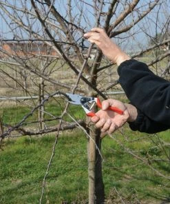 FELCO 8 Ergonomic Pruning Shear Home, Farm & Garden