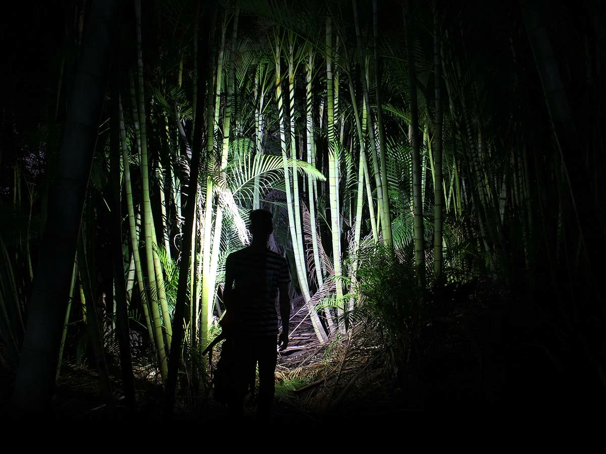 Fenix HL40R Focusable USB Rechargeable Headlamp Headlamps 6 Fenix HL40R Focusable USB Rechargeable Headlamp Headlamps