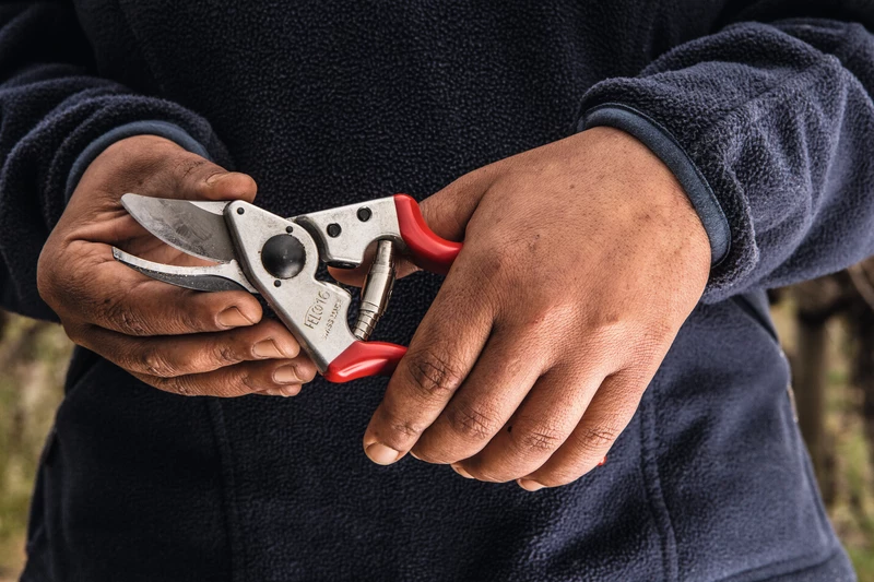 FELCO 16 Left-Handed Ergonomic Pruning Shear 3 FELCO 16 Left-Handed Ergonomic Pruning Shear