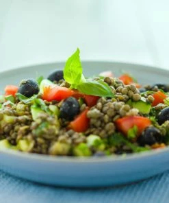 Emergency Essentials Lentils Large Can