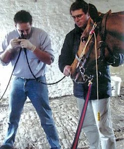 Udderly EZ EZ - THE STABLEIZER 11 Udderly EZ EZ - THE STABLEIZER