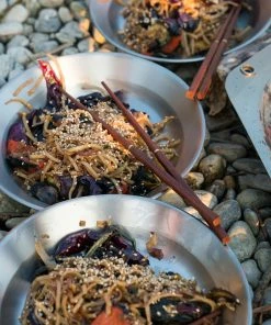 Primus CampFire Plate S/S Gear