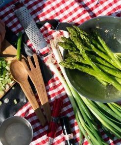 Primus CampFire Serving Kit Gear