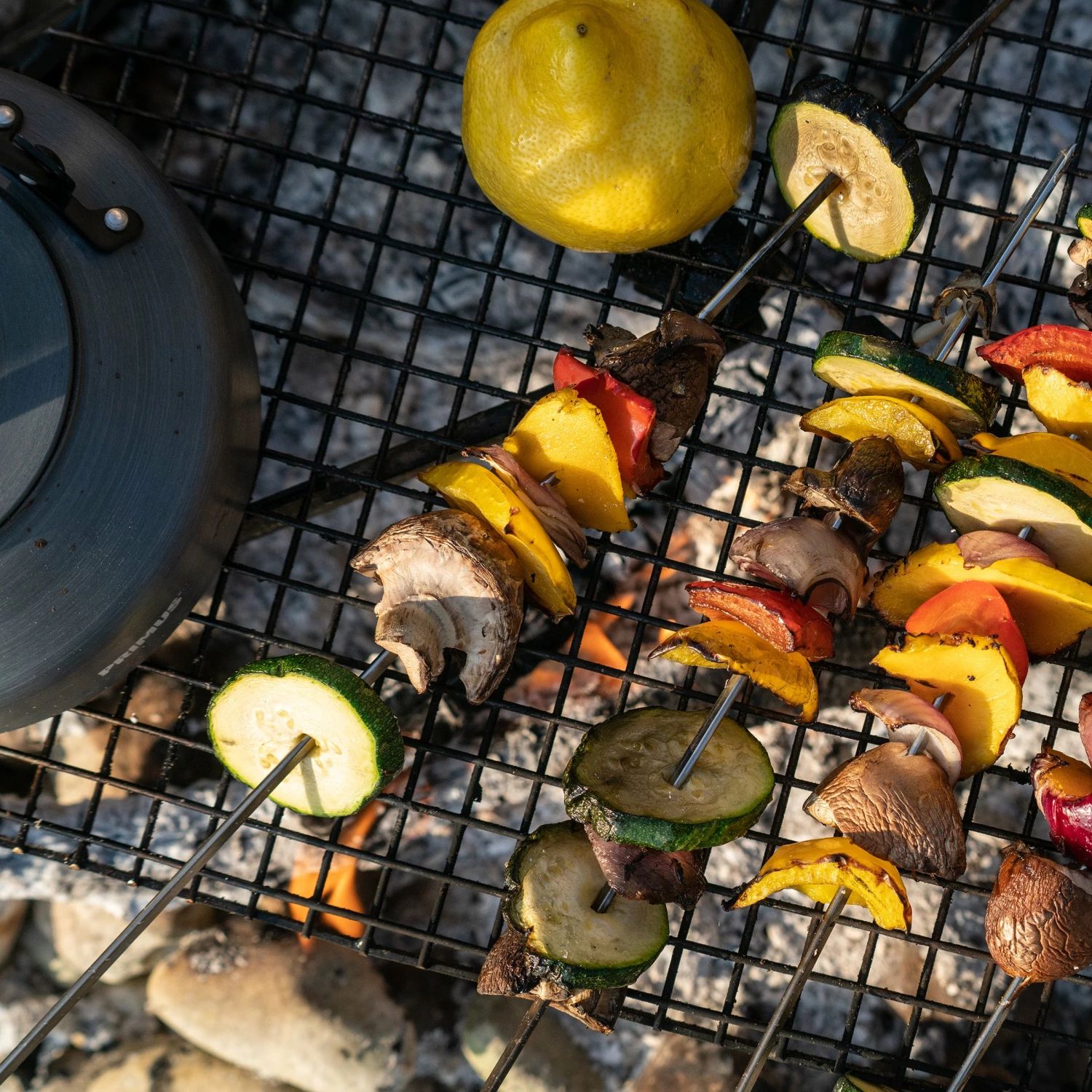 Primus CampFire Skewers 4 Primus CampFire Skewers