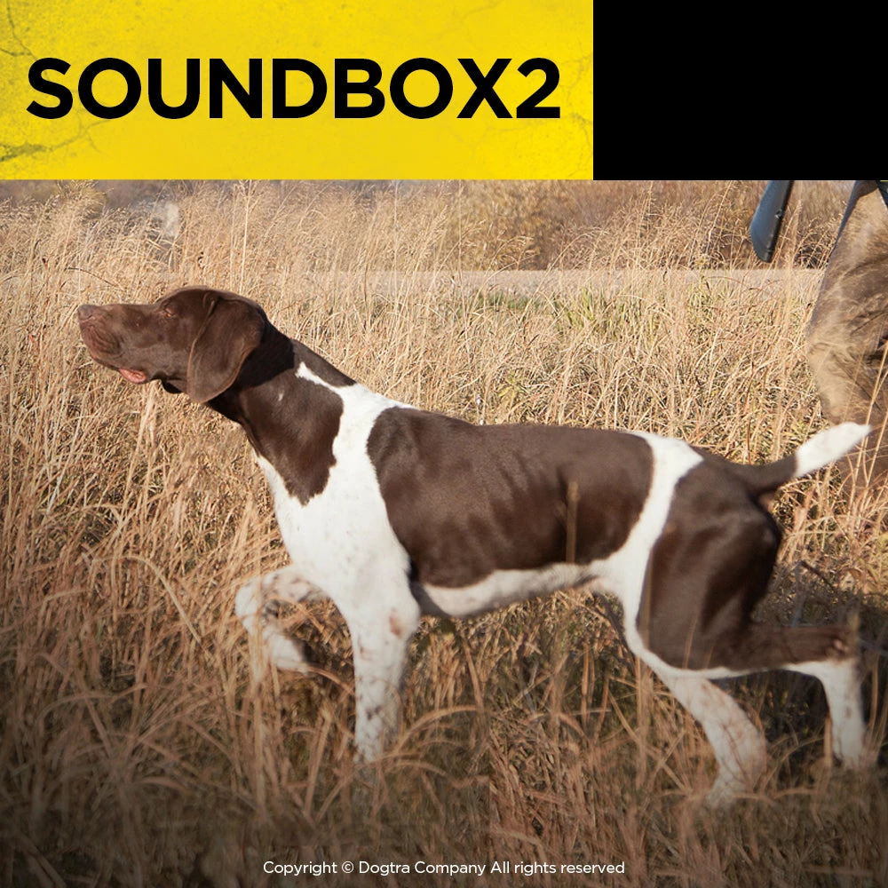 DOGTRA SOUND BOX 2 Dogs 4 DOGTRA SOUND BOX 2 Dogs