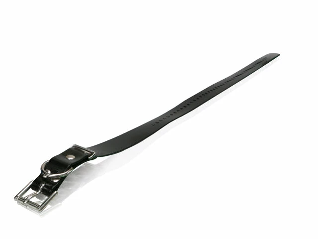 Dogs DOGTRA COLLAR STRAP 1"X30" 3 Dogs DOGTRA COLLAR STRAP 1"X30"