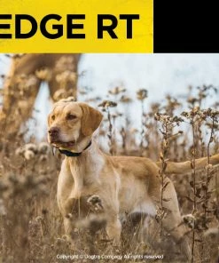 DOGTRA EDGE RT TRAINING SYSTEM Dogs 10 DOGTRA EDGE RT TRAINING SYSTEM Dogs