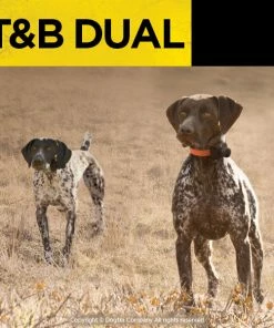 Dogs Dogtra T&B Dual 2-Dog Training And Beeper System