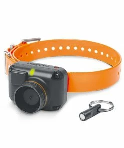 DOGTRA STB BEEPER COLLAR Dogs
