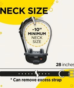 Dogs DOGTRA IQ MINI TRAINING SYSTEM