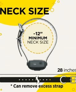 DOGTRA IQ VIBE NO BARK COLLAR Dogs