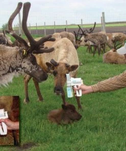 EZ - UDDERLY EZ HAND COW MILKERS 10 EZ - UDDERLY EZ HAND COW MILKERS