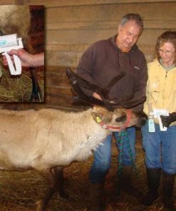 EZ - UDDERLY EZ HAND COW MILKERS 11 EZ - UDDERLY EZ HAND COW MILKERS