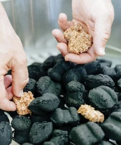 Solo Stove Starters Gear