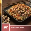 Backpacking Meals AlpineAire Kung Pao Beef