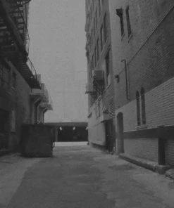 X-Vision Night Vision Binoculars Pro-XANB20 Gear