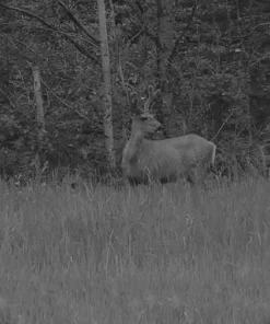 X-Vision Digital Hands Free Deluxe Night Vision Binoculars - XANB50 Gear