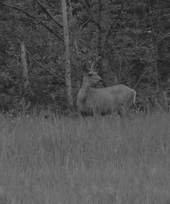 X-Vision Night Vision Binoculars Deluxe-XANB30