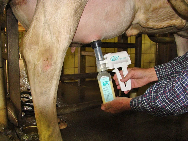 EZ - UDDERLY EZ HAND COW MILKERS 4 EZ - UDDERLY EZ HAND COW MILKERS