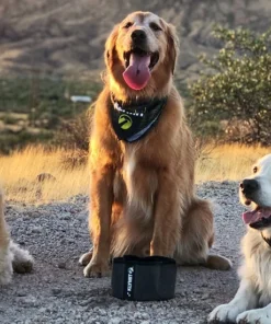 Klymit Travel Dog Bowl Dogs